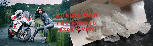 таблы Бородино