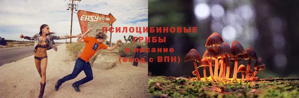 таблы Бородино