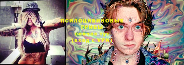 таблы Бородино