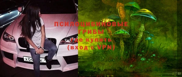 Альфа ПВП Бугульма