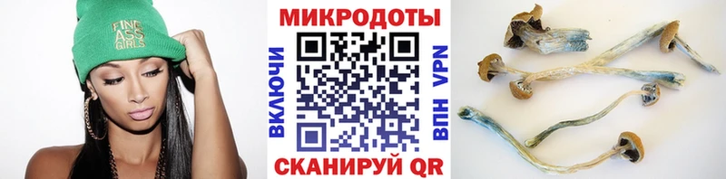 цены наркотик  площадка клад  Галлюциногенные грибы Psilocybe  Архангельск 